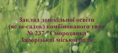 Дошкільний навчальний заклад (ясла-садок) комбінованого типу №237 "Смородинка" Запорізької міської ради Запорізької області preview