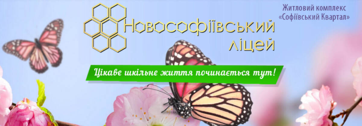 Попередній перегляд закладу Новософіївська школа