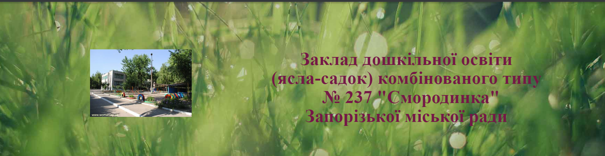 Попередній перегляд закладу Дошкільний навчальний заклад (ясла-садок) комбінованого типу №237 "Смородинка" Запорізької міської ради Запорізької області